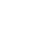 Seguridad Ofensiva
